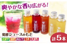 発酵ジュースのもと 飲み比べ5本セット〈かぼす・ゆず・赤しそ・うめ・すもも〉 日田市 / 株式会社インパクト　ジュース 健康 飲料[ARDA006]