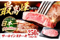 おおいた和牛 サーロインステーキ 250g (250g×1枚) 日田市 / 株式会社OTOGINO　和牛　サーロイン 　ステーキ 　牛肉[AREF052]
