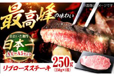 おおいた和牛 リブロースステーキ 250g (250g×1枚) 日田市 / 株式会社OTOGINO　和牛 リブロース ステーキ  牛肉[AREF053]