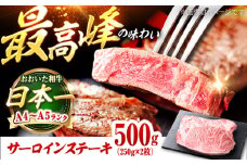 おおいた和牛 サーロインステーキ 500g (250g×2枚) 日田市 / 株式会社OTOGINO　牛肉 和牛 にく[AREF128]
