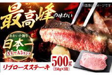 おおいた和牛　リブロースステーキ 500g(250g×2枚) 日田市 / 株式会社OTOGINO　牛肉 和牛 にく[AREF129]