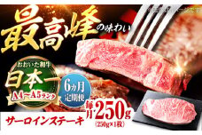 【全6回定期便】おおいた和牛 サーロインステーキ 250g (250g×1枚) 日田市 / 株式会社OTOGINO　牛肉 和牛 にく[AREF135]