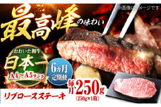 【全6回定期便】おおいた和牛　リブロースステーキ 250g(250g×1枚) 日田市 / 株式会社OTOGINO　牛肉 和牛 にく[AREF137]