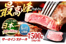 【全6回定期便】おおいた和牛 サーロインステーキ 500g (250g×2枚) 日田市 / 株式会社OTOGINO　牛肉 和牛 にく[AREF136]