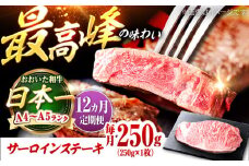 【全12回定期便】おおいた和牛 サーロインステーキ 250g (250g×1枚) 日田市 / 株式会社OTOGINO　牛肉 和牛 にく[AREF139]