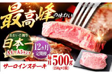 【全12回定期便】おおいた和牛 サーロインステーキ 500g (250g×2枚) 日田市 / 株式会社OTOGINO　牛肉 和牛 にく[AREF140]