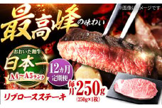 【全12回定期便】おおいた和牛 リブロースステーキ 250g(250g×1枚) 日田市 / 株式会社OTOGINO　牛肉 和牛 にく[AREF141]