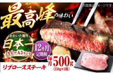 【全12回定期便】おおいた和牛 リブロースステーキ 500g(250g×2枚) 日田市 / 株式会社OTOGINO　牛肉 和牛 にく[AREF142]