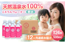 【全12回定期便】天然温泉水RYUSEKI 500ml×24本－ペットボトル 日田市 / 株式会社竜石　水 天然水 温泉[ARCD005]