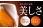サッポロ ヱビスビール 350ml×24缶  えびす エビス ビール びーる おすすめ