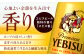 ビール サッポロ お酒 酒 日田