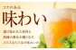 ビール サッポロ お酒 酒 日田