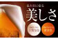 ビール サッポロ お酒 酒 日田