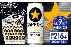 【全9回定期便】サッポロ生ビール 黒ラベル 500ml×24缶　合計216缶 日田市 / 株式会社綾部商店　ビール サッポロ お酒 酒 日田[ARDC083]