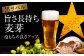 ビール サッポロ お酒 酒 日田