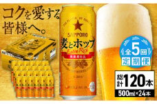 【全5回定期便】サッポロ 麦とホップ 500ml×24缶 合計120缶 日田市 / 株式会社綾部商店　ビール サッポロ お酒 酒 日田[ARDC136]