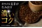 ビール サッポロ お酒 酒 日田