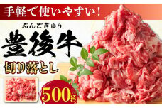 【使いやすい！】 おおいた豊後牛 牛肉 切り落とし 500g 日田市 / 株式会社MEAT PLUS 牛肉 おおいた豊後牛 おおいた 豊後牛 黒毛和牛 赤身 薄切り 切り落とし 和牛 [AREI002]