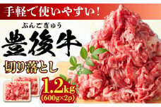 【大容量パック！】 おおいた豊後牛 牛肉 切り落とし 1.2kg (600g×2) 日田市 / 株式会社MEAT PLUS 牛肉 おおいた豊後牛 おおいた 豊後牛 黒毛和牛 赤身 薄切り 切り落とし 和牛 [AREI004]