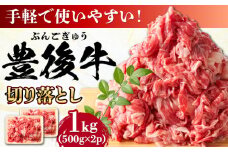 【期間限定】 小分けで便利！おおいた豊後牛 牛肉 切り落とし 1kg (500g×2)  日田市 / 株式会社MEAT PLUS 牛肉 おおいた豊後牛 おおいた 豊後牛 黒毛和牛 赤身 薄切り 切り落とし 和牛 [AREI003]