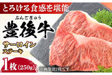 おおいた豊後牛 サーロインステーキ 250g (250g×1枚) 日田市 / 株式会社MEAT PLUS 牛肉 おおいた豊後牛 おおいた 豊後牛 黒毛和牛 サーロイン サーロインステーキ ステーキ 国産 和牛 [AREI006]