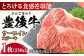 牛肉 おおいた豊後牛 おおいた 豊後牛 黒毛和牛 サーロイン サーロインステーキ ステーキ 国産