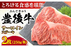 おおいた豊後牛 サーロインステーキ 500g (250g×2枚) 日田市 / 株式会社MEAT PLUS 牛肉 おおいた豊後牛 おおいた 豊後牛 黒毛和牛 サーロイン サーロインステーキ ステーキ 国産 和牛 [AREI007]