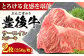 牛肉 おおいた豊後牛 おおいた 豊後牛 黒毛和牛 サーロイン サーロインステーキ ステーキ 国産