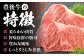 牛肉 おおいた豊後牛 おおいた 豊後牛 黒毛和牛 サーロイン サーロインステーキ ステーキ 国産