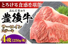 おおいた豊後牛 サーロインステーキ 1kg (250g×4枚) 日田市 / 株式会社MEAT PLUS 牛肉 おおいた豊後牛 おおいた 豊後牛 黒毛和牛 サーロイン サーロインステーキ ステーキ 国産 和牛 [AREI008]