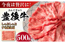 おおいた豊後牛 しゃぶしゃぶすき焼き用（肩ロース・肩バラ・モモ）500g 日田市 / 株式会社MEAT PLUS 牛肉 おおいた豊後牛 おおいた 豊後牛 黒毛和牛 スライス しゃぶしゃぶすき焼き しゃぶしゃぶ すき焼き 和牛 [AREI010]