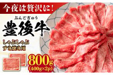 おおいた豊後牛 しゃぶしゃぶすき焼き用（肩ロース・肩バラ・モモ）800g(400g×2) 日田市 / 株式会社MEAT PLUS 牛肉 おおいた豊後牛 おおいた 豊後牛 黒毛和牛 スライス しゃぶしゃぶすき焼き しゃぶしゃぶ すき焼き 和牛 [AREI012]