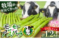 【選べる容量】モーモーアスパラ春芽 2L・L 1.2kg 迷ったらこれ！ちょうどいい太さ2種セット 1.2kg 日田市 / 有限会社本川牧場 [ARAI002]