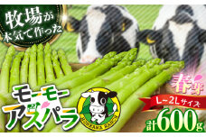 【選べる容量】モーモーアスパラ春芽 L～2L 600g 迷ったらこれ！ちょうどいい太さ2種セット 600g 日田市 / 有限会社本川牧場 [ARAI030]