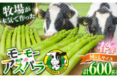 【選べる容量】モーモーアスパラ春芽 L・M 600g 食べやすい太さの2種セット 600g 日田市 / 有限会社本川牧場 [ARAI031]