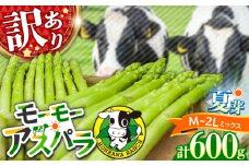 【訳あり/期間限定】モーモーアスパラ夏芽 2L〜M 600g 味に全く問題なし！安く手頃に！3種食べ比べ 600g 日田市 / 有限会社本川牧場 [ARAI034]