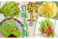 アスパラガス アスパラ 野菜 やさい 訳あり 期間限定