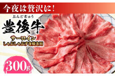 【厳選部位】おおいた豊後牛 サーロイン しゃぶしゃぶすき焼き用 300g 日田市 / 株式会社MEAT PLUS おおいた豊後牛 おおいた 豊後牛 黒毛和牛 スライス しゃぶしゃぶすき焼き しゃぶしゃぶ すき焼き 小分け サーロイン 和牛  [AREI015]