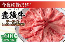 【厳選部位】おおいた豊後牛 サーロイン しゃぶしゃぶすき焼き用 600g(300g×2P) 日田市 / 株式会社MEAT PLUS おおいた豊後牛 おおいた 豊後牛 黒毛和牛 スライス しゃぶしゃぶすき焼き しゃぶしゃぶ すき焼き 小分け サーロイン 和牛  [AREI017]