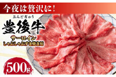 【厳選部位】おおいた豊後牛 サーロイン しゃぶしゃぶすき焼き用 500g 日田市 / 株式会社MEAT PLUS おおいた豊後牛 おおいた 豊後牛 黒毛和牛 スライス しゃぶしゃぶすき焼き しゃぶしゃぶ すき焼き 小分け サーロイン 和牛  [AREI016]