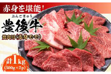 おおいた豊後牛 赤身モモ 焼肉用 1kg(500g×2P) 日田市 / 株式会社MEAT PLUS 牛肉 おおいた豊後牛 おおいた 豊後牛 黒毛和牛 国産 赤身 モモ もも 焼肉 焼肉用 和牛 [AREI020]