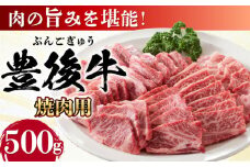 おおいた豊後牛 焼肉用 500g 日田市 / 株式会社MEAT PLUS 牛肉 おおいた豊後牛 おおいた 豊後牛 黒毛和牛 国産  焼肉 焼肉用 [AREI021]