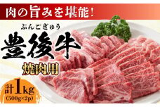 おおいた豊後牛 焼肉用 1kg(500g×2P) 日田市 / 株式会社MEAT PLUS 牛肉 おおいた豊後牛 おおいた 豊後牛 黒毛和牛 国産  焼肉 焼肉用 [AREI022]
