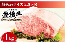 【厳選部位】おおいた豊後牛 サーロイン ブロック 1kg 日田市 / 株式会社MEAT PLUS 牛肉 おおいた豊後牛 おおいた 豊後牛 黒毛和牛  サーロイン ローストビーフ ブロック ロースト [AREI023]
