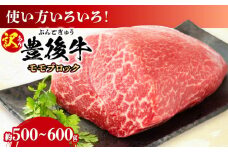【訳あり】おおいた豊後牛 モモ ブロック 約500g〜600g 日田市 / 株式会社MEAT PLUS 訳あり 牛肉 おおいた豊後牛 おおいた 豊後牛 黒毛和牛 モモ もも ローストビーフ ブロック ロースト 赤身ブロック ステーキ [AREI027]