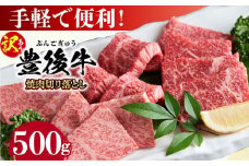 【訳あり】おおいた豊後牛 焼肉 切り落とし 500g 日田市 / 株式会社MEAT PLUS 訳あり 牛肉 おおいた豊後牛 おおいた 豊後牛 黒毛和牛 国産  焼肉 焼肉用 [AREI032]
