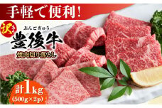 【訳あり】おおいた豊後牛 焼肉 切り落とし 1kg(500g×2P) 日田市 / 株式会社MEAT PLUS 訳あり 牛肉 おおいた豊後牛 おおいた 豊後牛 黒毛和牛 国産  焼肉 焼肉用 [AREI033]