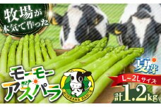 【期間限定】モーモーアスパラ夏芽 L~2L 1.2kg（6月中旬より順次発送） 迷ったらこれ！ちょうどいい太さ2種セット  日田市 / 有限会社本川牧場 [ARAI035]