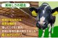 アスパラガス アスパラ 野菜 やさい 期間限定 食べ比べ