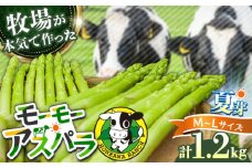 【期間限定】モーモーアスパラ夏芽 L・M 1.2kg（6月中旬より順次発送） 食べやすい太さの2種セット 1.2kg 日田市 / 有限会社本川牧場 [ARAI038]